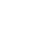 mini-logo-aif